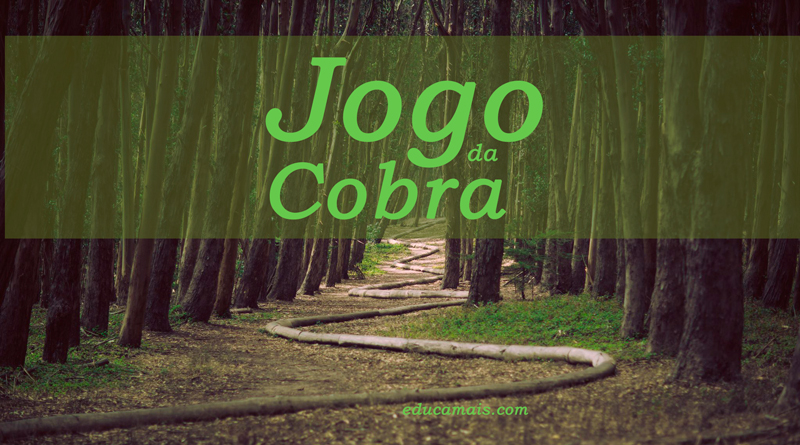 Jogo da COBRA em COQUINHOS