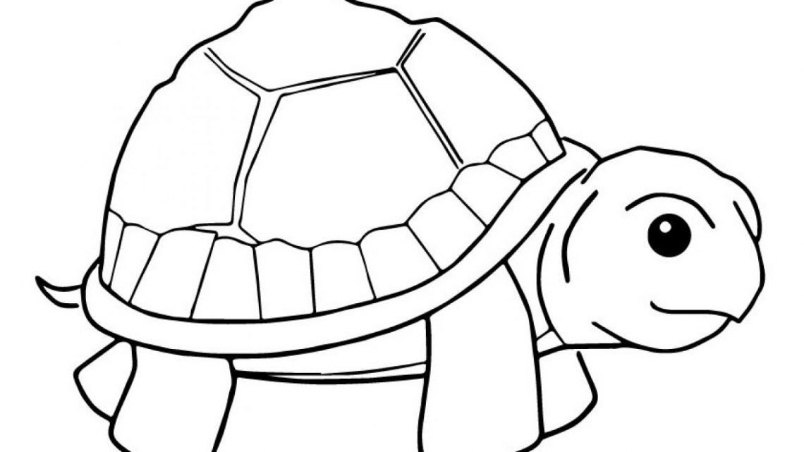 Desenhos para Colorir de Tartarugas - Educamais